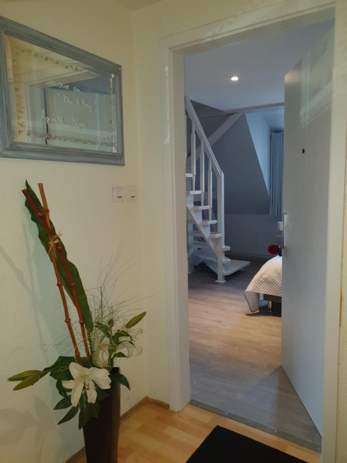 Chic & Cosy Leilighet Haguenau Eksteriør bilde